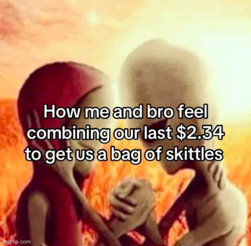 we alone are the greatest duo | image tagged in skittles,funny,relatable,bro,alien | made w/ Imgflip meme maker