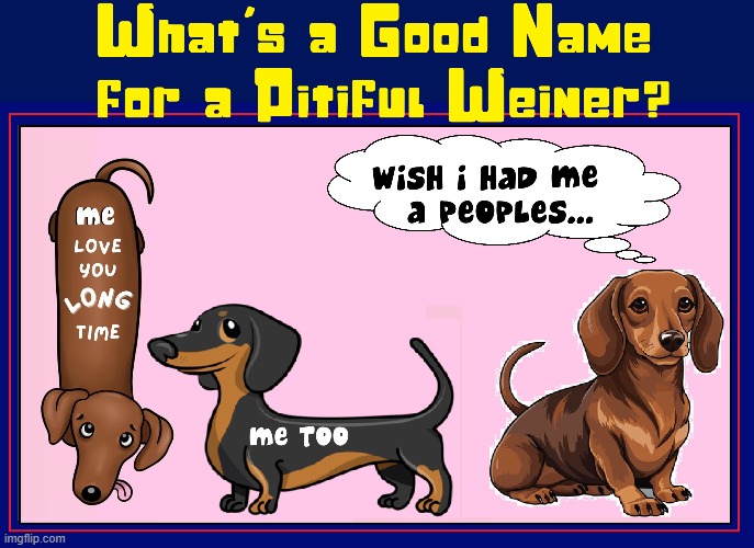 Name the Dog | image tagged in vince vance,weiner,dogs,dachshund,pitiful,memes | made w/ Imgflip meme maker
