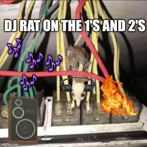Tried to submit to darknhumor but they kinda braindead. | DJ RAT ON THE 1'S AND 2'S; 🎶; 🎶; 🎶; 🎶 | image tagged in dj rat | made w/ Imgflip meme maker