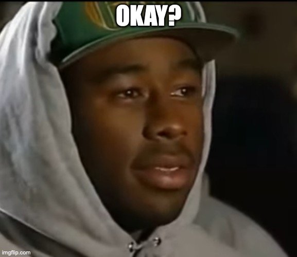 Tyler the creator okay | OKAY? | image tagged in tyler the creator okay | made w/ Imgflip meme maker