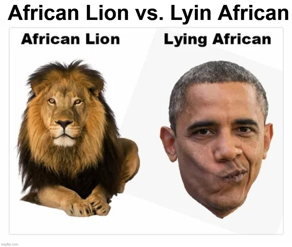 African Lion vs. Lyin' African | image tagged in lion,lying,manchurian candidate,traitor,treason,sedition | made w/ Imgflip meme maker