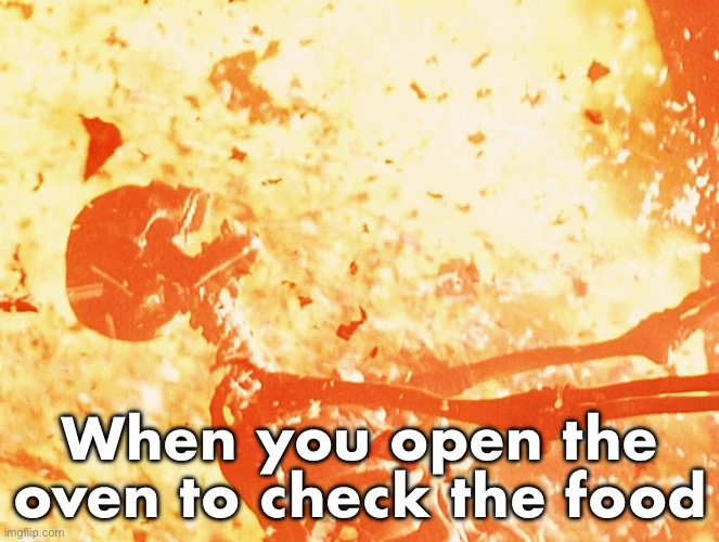 Type shit sir | When you open the oven to check the food | image tagged in fire skeleton | made w/ Imgflip meme maker