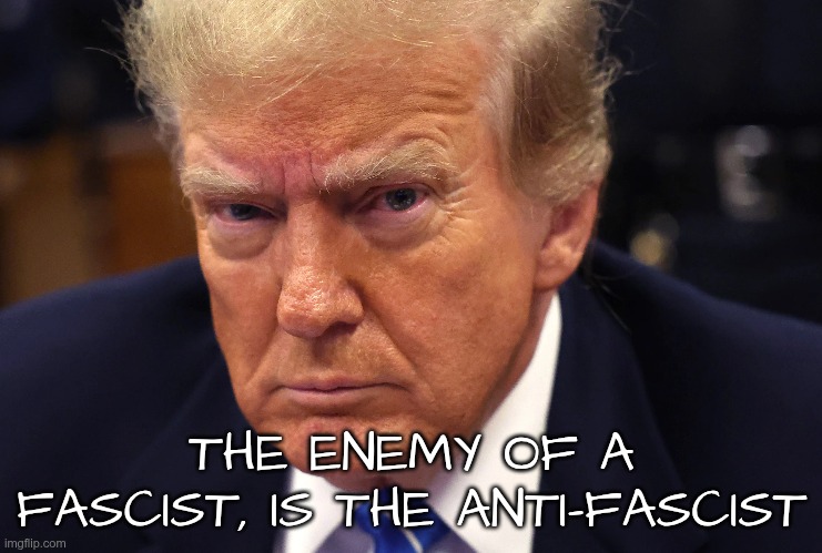 He's telling you what he is... | THE ENEMY OF A FASCIST, IS THE ANTI-FASCIST | image tagged in trump,gop,maga,nazi,fascist,fascism | made w/ Imgflip meme maker