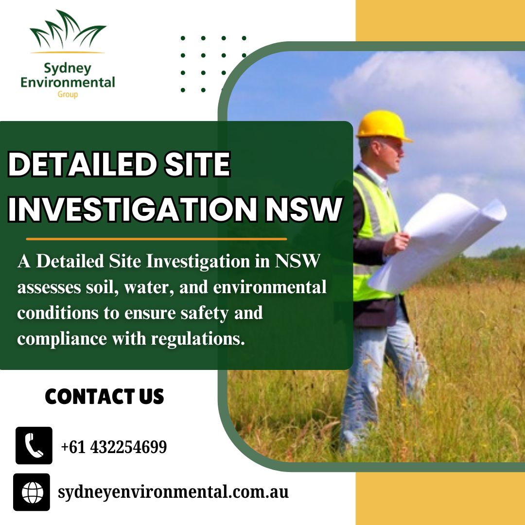 Detailed Site Investigation NSW Blank Meme Template