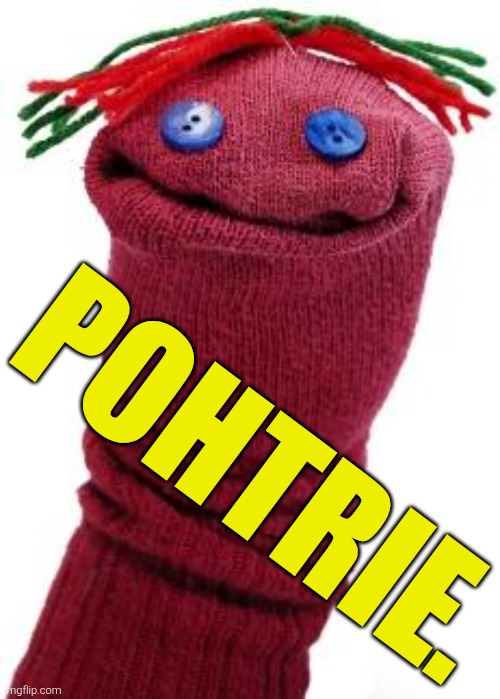 sock puppet | POHTRIE. | image tagged in sock puppet | made w/ Imgflip meme maker