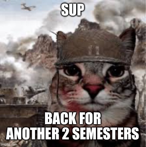 Roberto | SUP; BACK FOR ANOTHER 2 SEMESTERS | image tagged in roberto | made w/ Imgflip meme maker