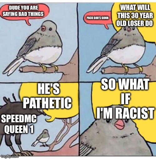 annoyed bird | WHAT WILL THIS 30 YEAR OLD LOSER DO; DUDE YOU ARE SAYING BAD THINGS; PACK GOD'S GONN-; SO WHAT IF I'M RACIST; HE'S PATHETIC; SPEEDMC QUEEN 1 | image tagged in annoyed bird | made w/ Imgflip meme maker