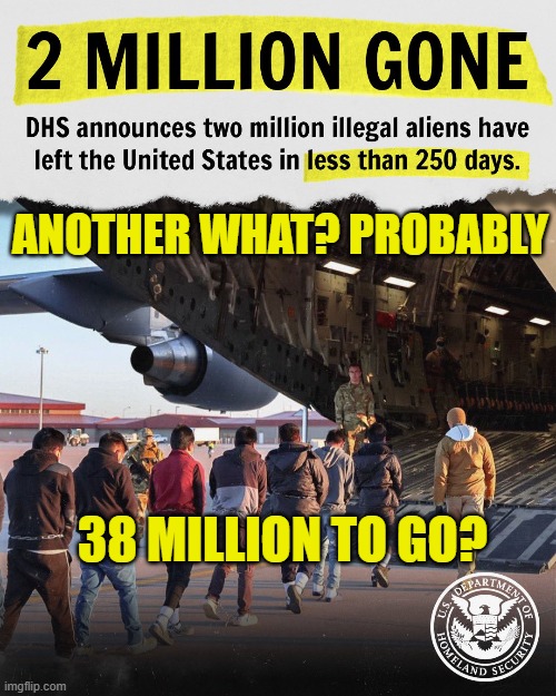 Over 2 Million Served | ANOTHER WHAT? PROBABLY; 38 MILLION TO GO? | image tagged in ice,deportation,illegal immigration,goodbye,maga,trump | made w/ Imgflip meme maker