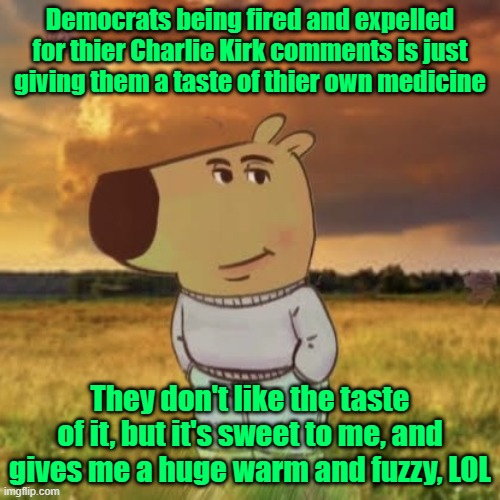 Makes me LOL | Democrats being fired and expelled for thier Charlie Kirk comments is just giving them a taste of thier own medicine; They don't like the taste of it, but it's sweet to me, and gives me a huge warm and fuzzy, LOL | image tagged in chill guy,cancel culture,democrats,you're fired | made w/ Imgflip meme maker