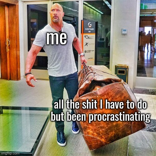 ik this is a "fun stream ahh meme" but it's relatable | me; all the shit I have to do
but been procrastinating | image tagged in the rock carrying giant bag | made w/ Imgflip meme maker