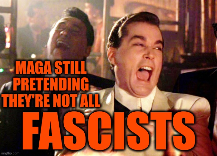 Maga Nazis Are Fascists And Republicans Are NOT Even Trying To Stop TRUMP And His Maga Cult Of Nazis | MAGA STILL PRETENDING THEY'RE NOT ALL; FASCISTS | image tagged in memes,good fellas hilarious,maga,nazis,it's a cult,special kind of stupid | made w/ Imgflip meme maker