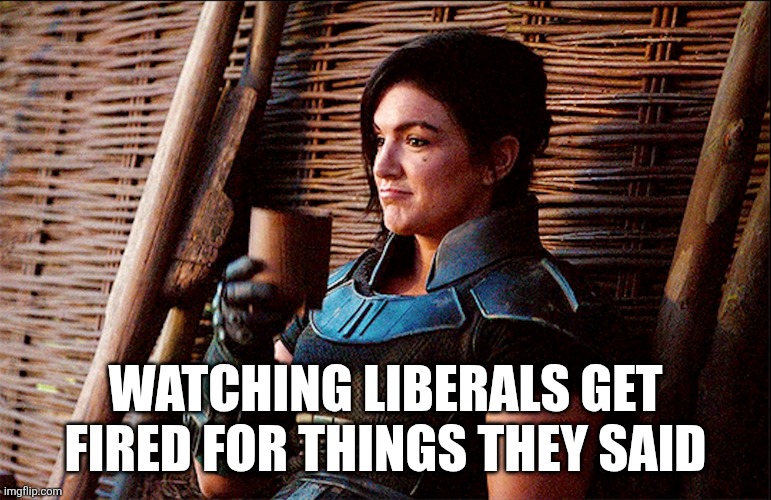 kinda sucks doesn't it | WATCHING LIBERALS GET FIRED FOR THINGS THEY SAID | image tagged in none of my business cara dune,political meme | made w/ Imgflip meme maker
