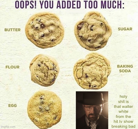 Oops, You Added Too Much | holy shit is that walter white from the hit tv show breaking bad | image tagged in oops you added too much | made w/ Imgflip meme maker