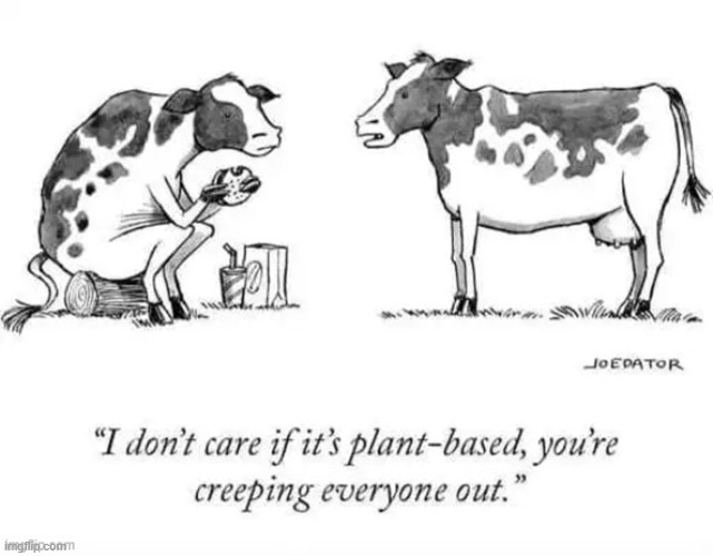 The Impossible Burger & the case of the talking cows | image tagged in vince vance,cartoons,cows,vegetarian,burger,impossible burger | made w/ Imgflip meme maker