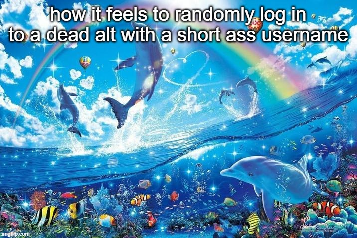 Happy dolphin rainbow | how it feels to randomly log in to a dead alt with a short ass username | image tagged in happy dolphin rainbow | made w/ Imgflip meme maker