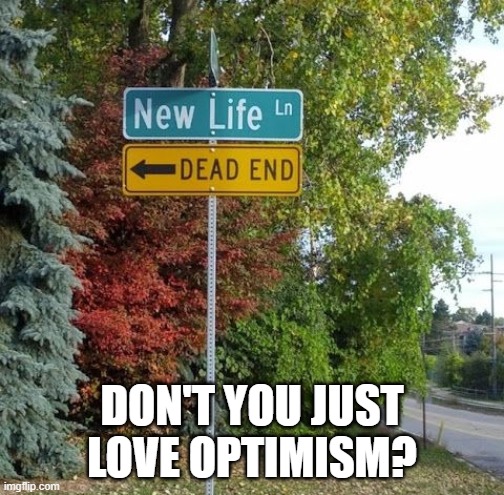 Optimism | DON'T YOU JUST LOVE OPTIMISM? | image tagged in funny,memes | made w/ Imgflip meme maker