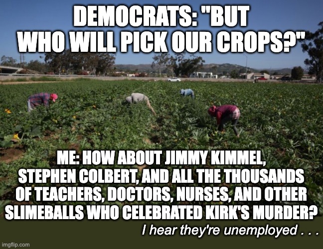 I got the solution to getting the crops harvested with all the terminations recently. | DEMOCRATS: "BUT WHO WILL PICK OUR CROPS?"; ME: HOW ABOUT JIMMY KIMMEL, STEPHEN COLBERT, AND ALL THE THOUSANDS OF TEACHERS, DOCTORS, NURSES, AND OTHER SLIMEBALLS WHO CELEBRATED KIRK'S MURDER? I hear they're unemployed . . . | image tagged in who will pick our crops,scumbag leftists | made w/ Imgflip meme maker