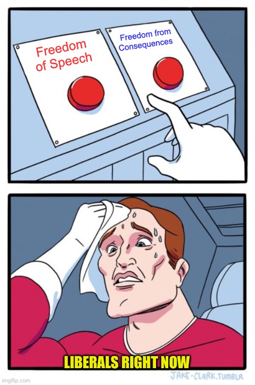 Accurate… | Freedom from Consequences; Freedom of Speech; LIBERALS RIGHT NOW | image tagged in memes,two buttons | made w/ Imgflip meme maker