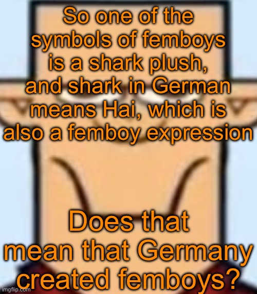 He cooked & set the kitchen on fire | So one of the symbols of femboys is a shark plush, and shark in German means Hai, which is also a femboy expression; Does that mean that Germany created femboys? | image tagged in sped tyler | made w/ Imgflip meme maker