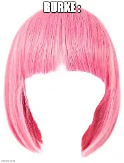 history be like | BURKE : | image tagged in history memes | made w/ Imgflip meme maker