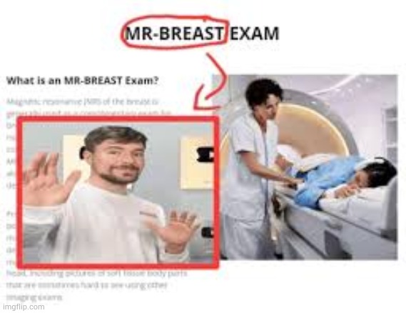 image tagged in mr beast | made w/ Imgflip meme maker