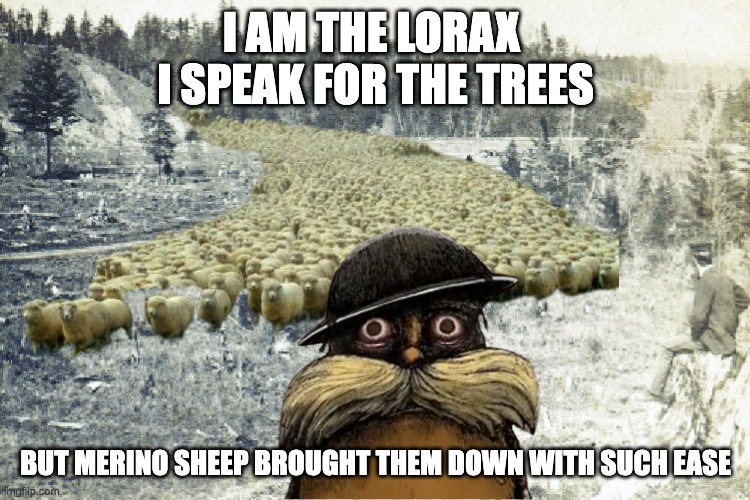 merino mania lorax d-day | I AM THE LORAX 
I SPEAK FOR THE TREES; BUT MERINO SHEEP BROUGHT THEM DOWN WITH SUCH EASE | image tagged in lorax,the lorax,trees,when the trees start speaking,sheep,vermont | made w/ Imgflip meme maker