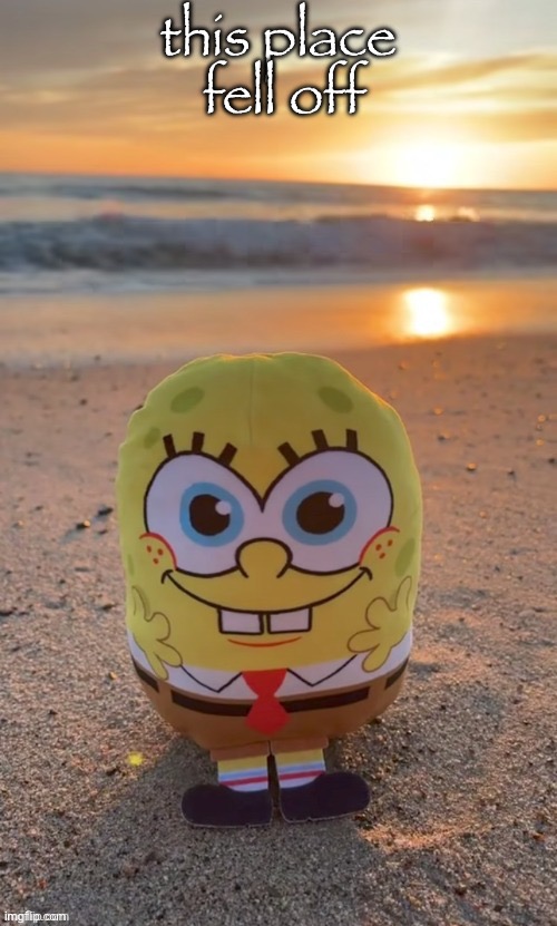 the bob (ty TMBR) | this place  fell off | image tagged in the bob ty tmbr | made w/ Imgflip meme maker