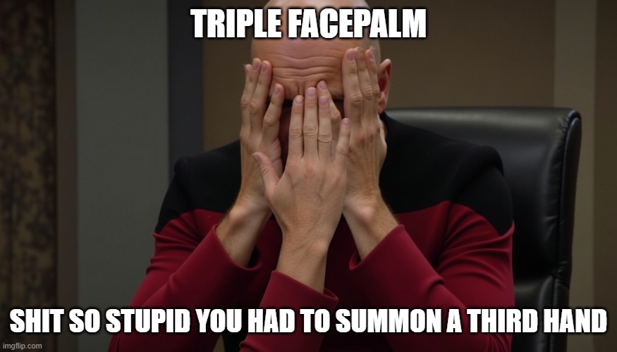 Triple Facepalm | TRIPLE FACEPALM; SHIT SO STUPID YOU HAD TO SUMMON A THIRD HAND | image tagged in facepalm,captain picard facepalm,stupid,funny memes,captain picard | made w/ Imgflip meme maker