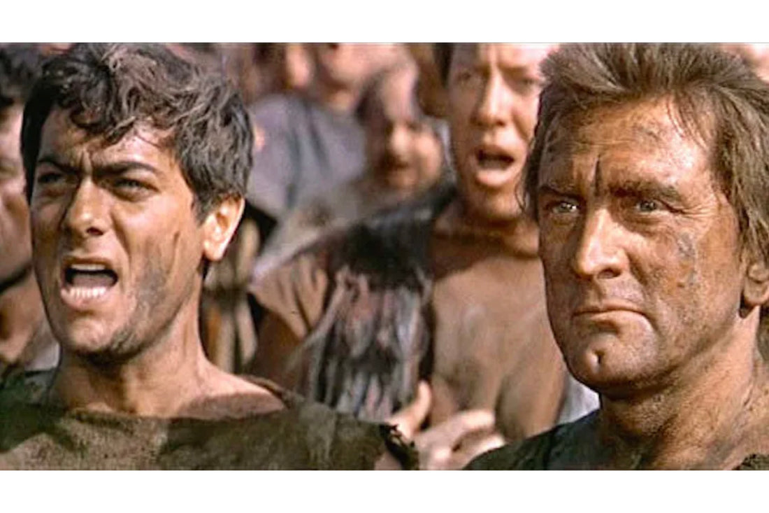No im Spartacus Blank Meme Template
