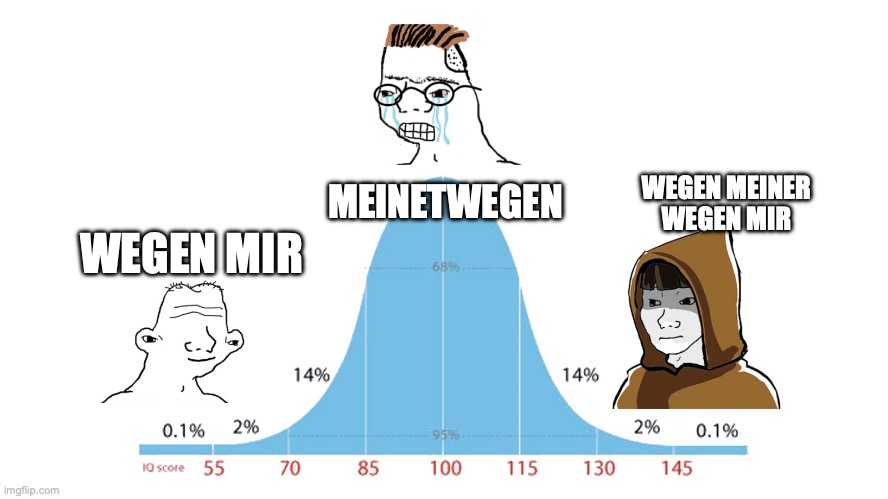 Normal Distribution meme | MEINETWEGEN; WEGEN MEINER
WEGEN MIR; WEGEN MIR | image tagged in normal distribution meme | made w/ Imgflip meme maker