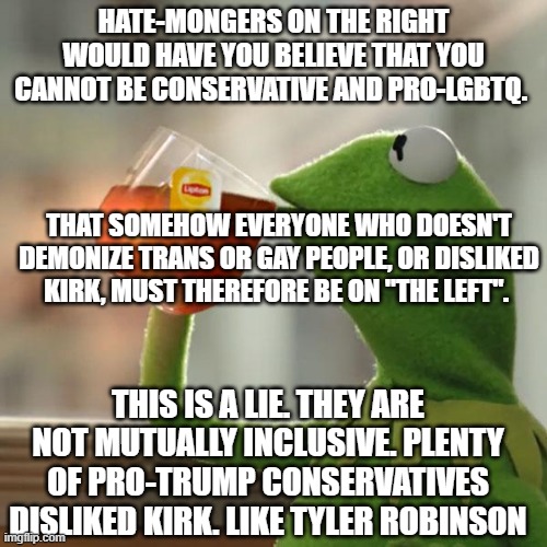 Other Plz. | HATE-MONGERS ON THE RIGHT WOULD HAVE YOU BELIEVE THAT YOU CANNOT BE CONSERVATIVE AND PRO-LGBTQ. THAT SOMEHOW EVERYONE WHO DOESN'T DEMONIZE TRANS OR GAY PEOPLE, OR DISLIKED KIRK, MUST THEREFORE BE ON "THE LEFT". THIS IS A LIE. THEY ARE NOT MUTUALLY INCLUSIVE. PLENTY OF PRO-TRUMP CONSERVATIVES DISLIKED KIRK. LIKE TYLER ROBINSON | image tagged in but that's none of my business,trump,kirk,conservatives | made w/ Imgflip meme maker