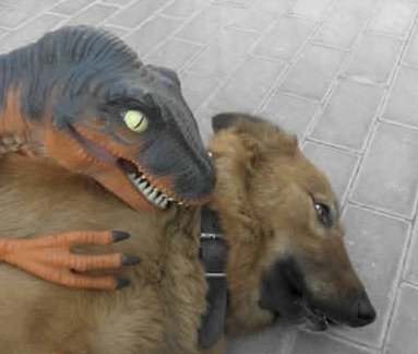 DInosaur Blank Meme Template