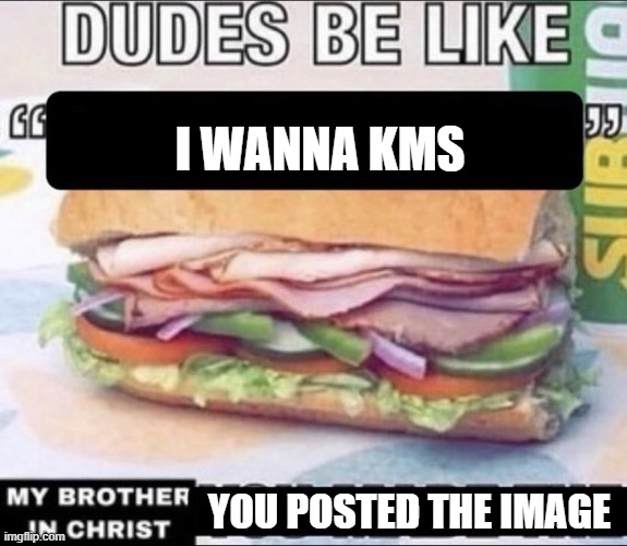 I WANNA KMS YOU POSTED THE IMAGE | image tagged in dudes be like x my brother in christ y | made w/ Imgflip meme maker