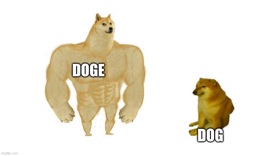 Dodge chad vs virgin | DOGE; DOG | image tagged in dodge chad vs virgin | made w/ Imgflip meme maker