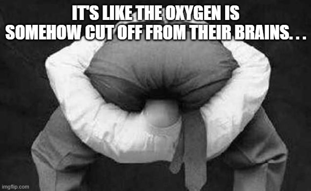 Head up ass  | IT'S LIKE THE OXYGEN IS SOMEHOW CUT OFF FROM THEIR BRAINS. . . | image tagged in head up ass | made w/ Imgflip meme maker