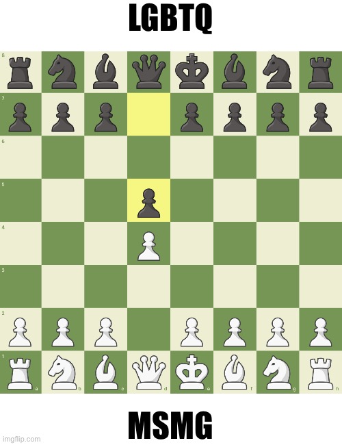 LGBTQ stream made their move, now it‘s MSMG‘s turn | LGBTQ; MSMG | image tagged in msmg vs lgbtq chess | made w/ Imgflip meme maker