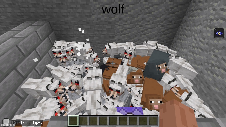 wolf | wolf | image tagged in wolf | made w/ Imgflip meme maker