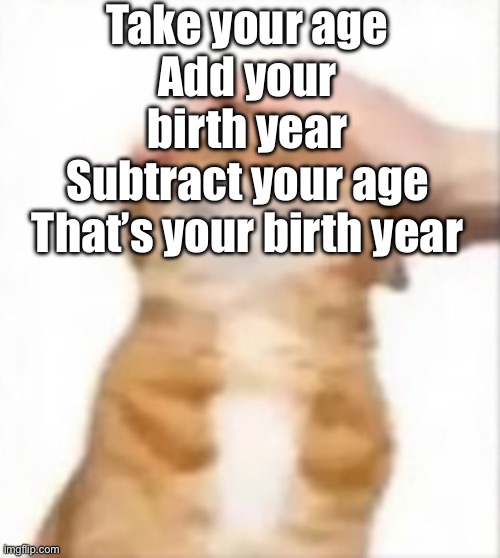 Cat being petted | Take your age
Add your birth year
Subtract your age
That’s your birth year | image tagged in cat being petted | made w/ Imgflip meme maker