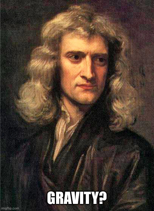 Isaac Newton  | GRAVITY? | image tagged in isaac newton | made w/ Imgflip meme maker