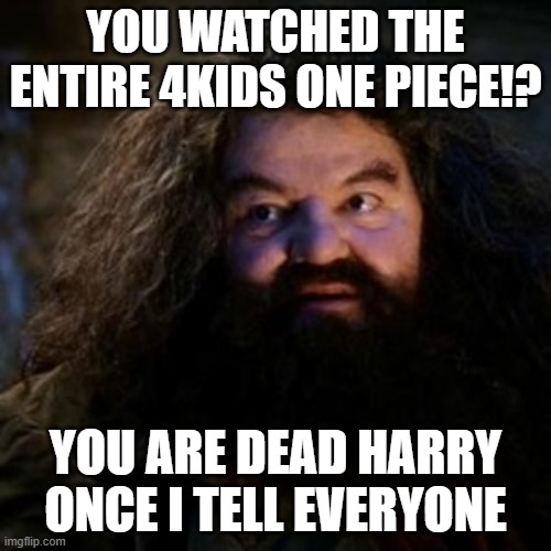 Harry did what? | YOU WATCHED THE ENTIRE 4KIDS ONE PIECE!? YOU ARE DEAD HARRY ONCE I TELL EVERYONE | image tagged in you're a wizard harry | made w/ Imgflip meme maker