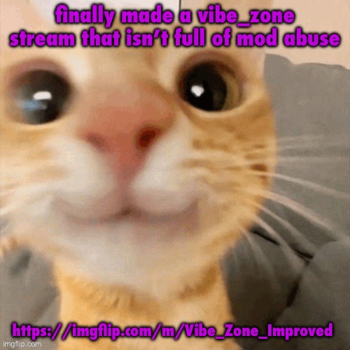 https://imgflip.com/m/Vibe_Zone_Improved | finally made a vibe_zone stream that isn’t full of mod abuse; https://imgflip.com/m/Vibe_Zone_Improved | image tagged in kitty | made w/ Imgflip meme maker