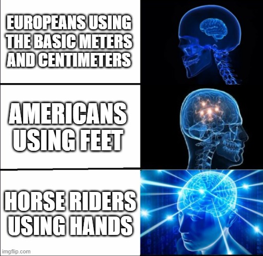 whose hands??? | EUROPEANS USING THE BASIC METERS AND CENTIMETERS; AMERICANS USING FEET; HORSE RIDERS USING HANDS | image tagged in galaxy brain 3 brains,horses | made w/ Imgflip meme maker