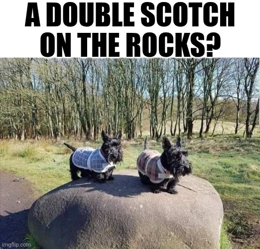 A Double Scotch On The Rocks? | A DOUBLE SCOTCH ON THE ROCKS? | image tagged in chris joines | made w/ Imgflip meme maker