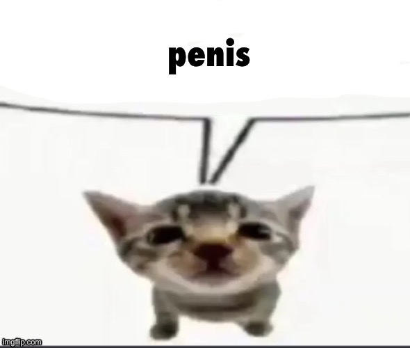 . | penis | image tagged in el gatito speech bubble | made w/ Imgflip meme maker