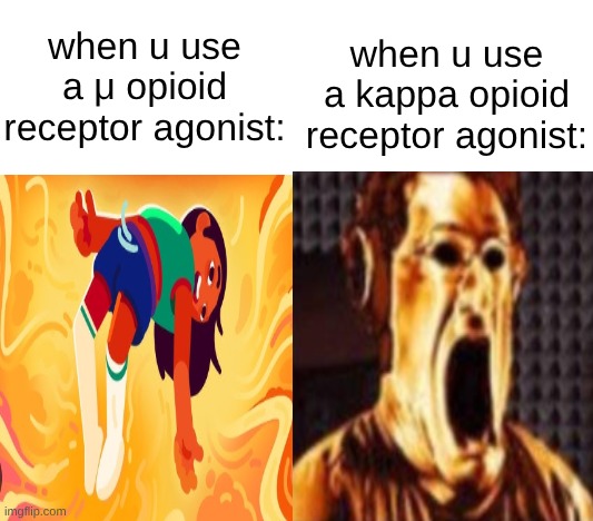 (morphine is a μ receptor agonist. salvia is a kappa receptor agonist) | when u use a μ opioid receptor agonist:; when u use a kappa opioid receptor agonist: | image tagged in average enjoyer meme | made w/ Imgflip meme maker
