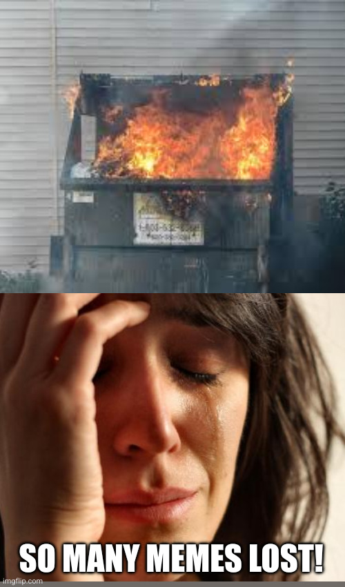 Dumpster Fire | SO MANY MEMES LOST! | image tagged in dumpster fire | made w/ Imgflip meme maker