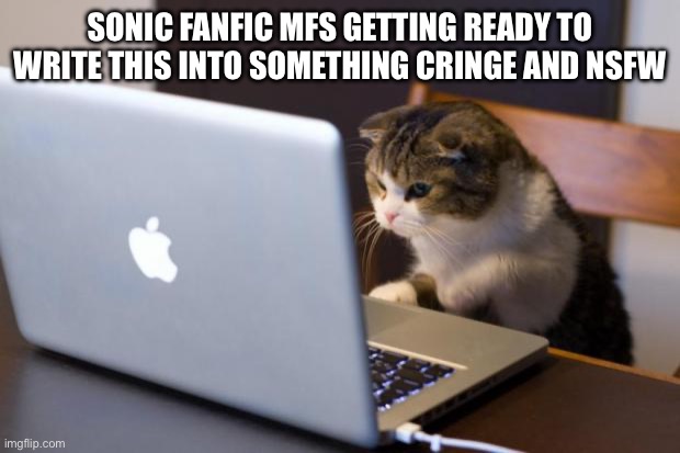 Cat using computer | SONIC FANFIC MFS GETTING READY TO WRITE THIS INTO SOMETHING CRINGE AND NSFW | image tagged in cat using computer | made w/ Imgflip meme maker
