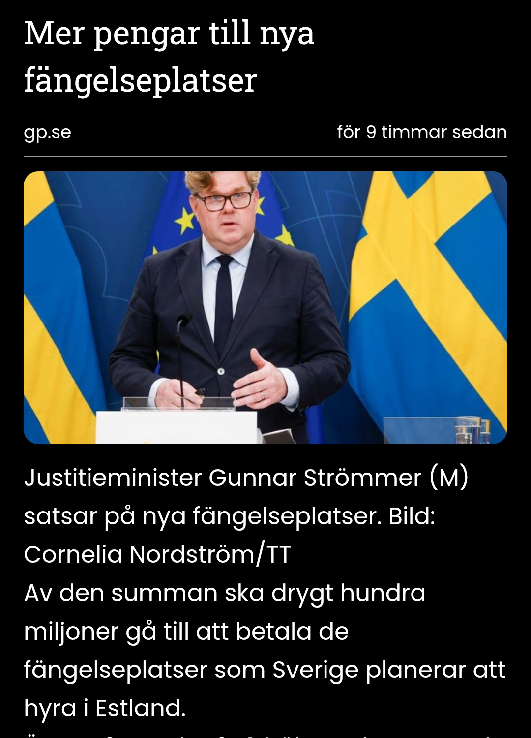 Gunnar Strömmer pedofil horunge svensk brottsling Blank Meme Template