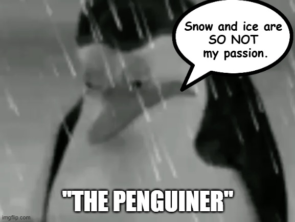 Have you read "The Seafarer"? IYKYK | Snow and ice are 
SO NOT 
my passion. "THE PENGUINER" | image tagged in sadge,literature,english teachers | made w/ Imgflip meme maker
