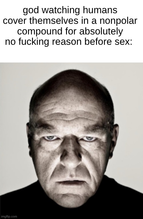 what is the purpose of oiling up? (I understand for the butt but why the body?) | god watching humans cover themselves in a nonpolar compound for absolutely no fucking reason before sex: | image tagged in dean norris mad | made w/ Imgflip meme maker